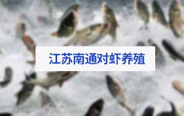 江苏南通对虾养殖